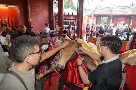 智慧毛是什麼|重現祭孔拔毛 送智慧毛筆啦